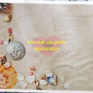 FO5208 - Phông Nền Vải 3D Họa Tiết Cát & Sò Biển – Mang Cả Đại Dương Vào Khung Hình
