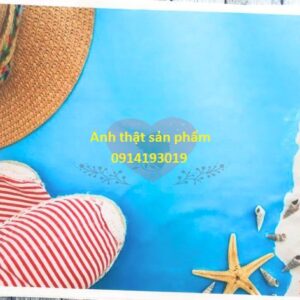 FO5227 - Phông nền vải 3D chủ đề biển mùa hè - Mang cả không khí tươi mát của bãi biển vào không gian chụp ảnh