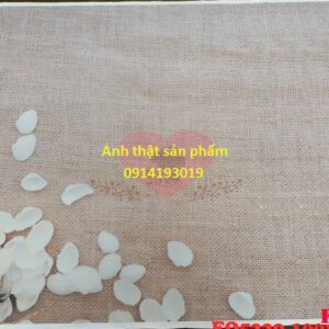 FO5229 - Phông Nền Vải In 3D Chủ Đề Biển – Mang Cả Đại Dương Vào Khung Hình Của Bạn