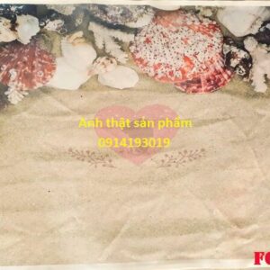 FO6583 - Tranh Vải 3D Họa Tiết Cát Biển - Phông Nền Chụp Ảnh Sản Phẩm Hè