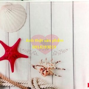 Fo11081 - Tranh Vải 3D Phụ Kiện Vỏ Sò Sao Biển Mùa Hè