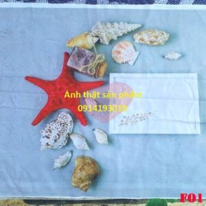 Fo11128 - Background Vải 3D In Phụ Kiện Vỏ Sò Sao Biển Hè Đơn Giản