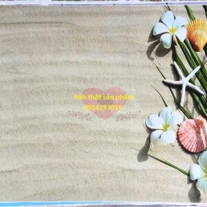 Fo45899 - Phông nền vải 3D chủ đề biển nhiệt đới - Mang cả bãi biển thơ mộng vào khung hình của bạn