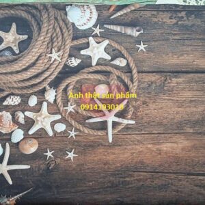 Fo45908 - Tranh Vải 3D Decor Mùa Hè: Phụ Kiện Vỏ Sò & Sao Biển Nổi Bật