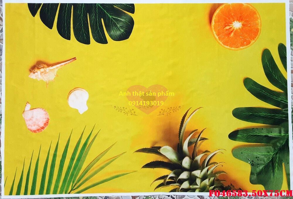 Fo46583.50x75cm